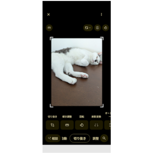 Google PixelのGoogleフォトで猫の写真を切り抜き編集している画面