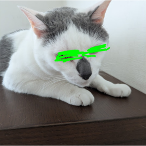 Androidスマホの写真編集で猫の目元を緑色の手書き線で塗りつぶして隠した例